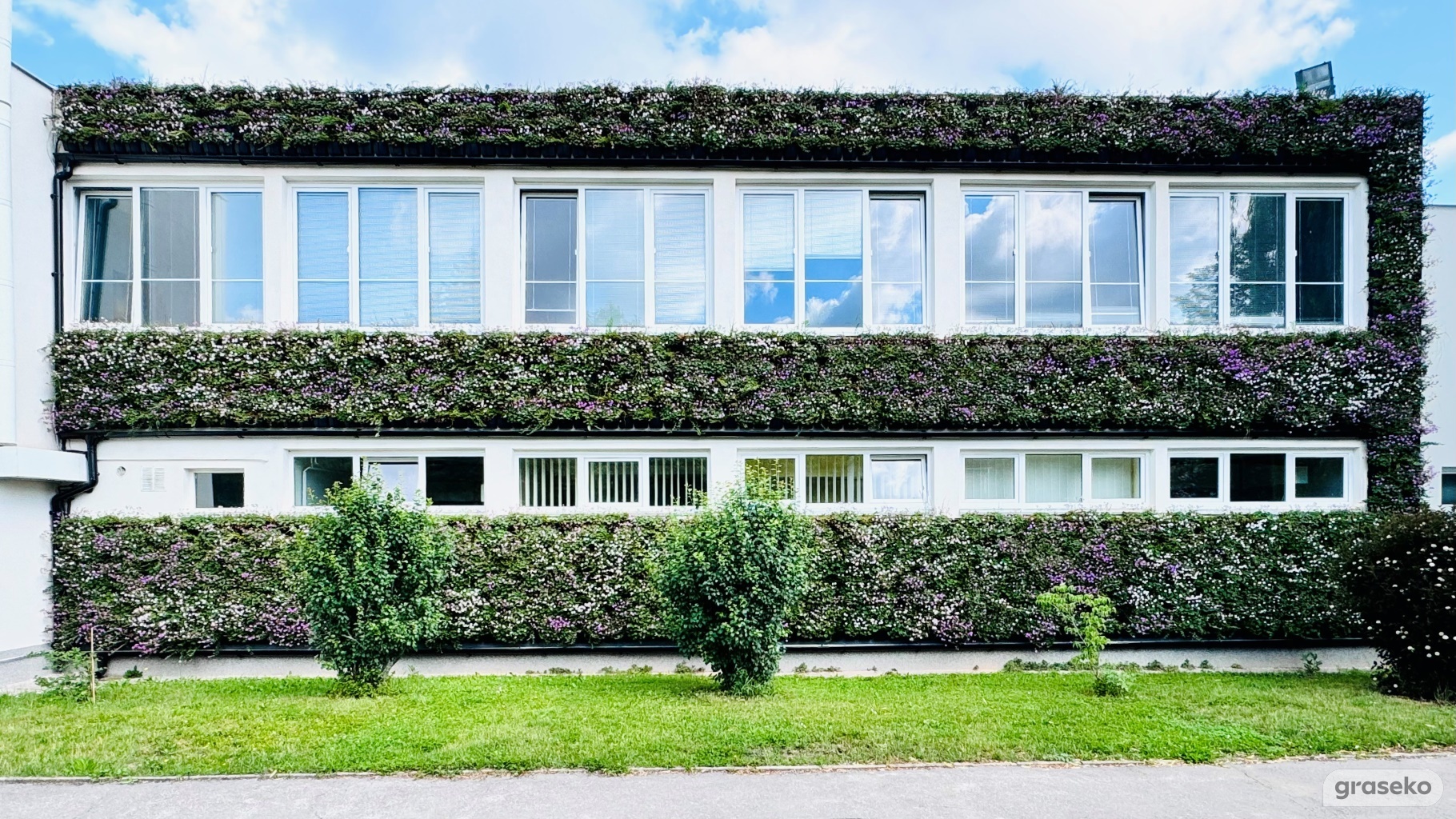 Zelená fasáda - Živá stěna Graseko_54_Realizace